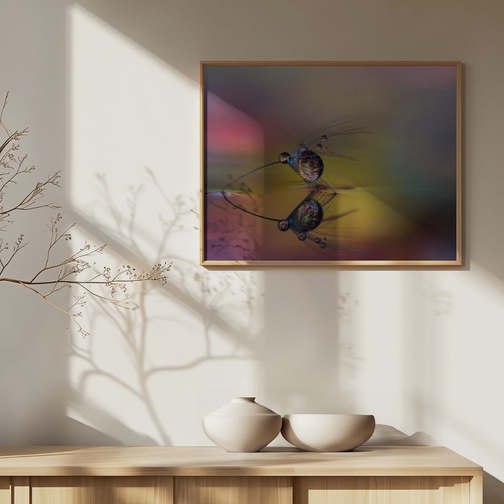 Colora l'oscurità | Poster - Stampe d’Arte