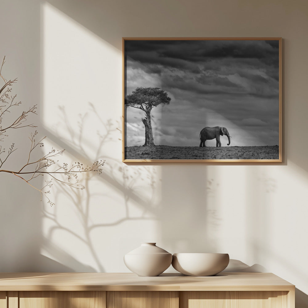 Paysage d'éléphants | Posters - Affiche Artistique