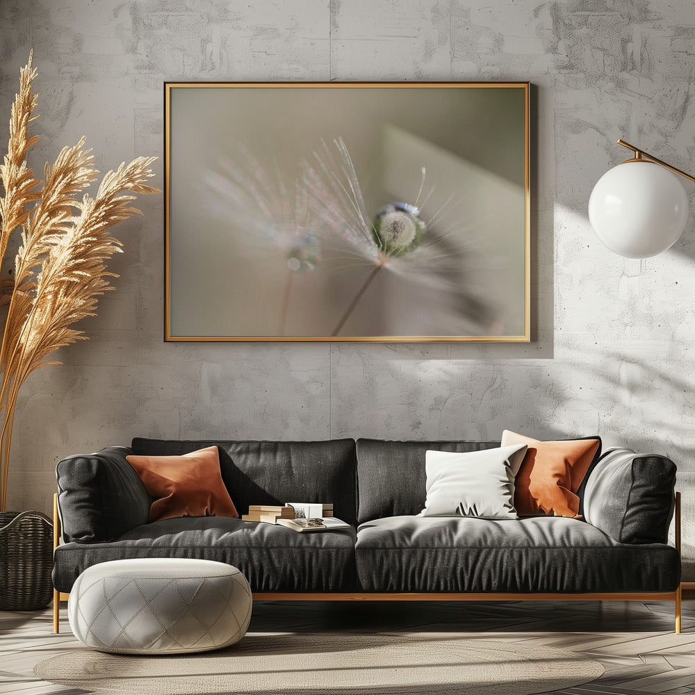 Löwenzahnstern | Poster - Kunstdruck