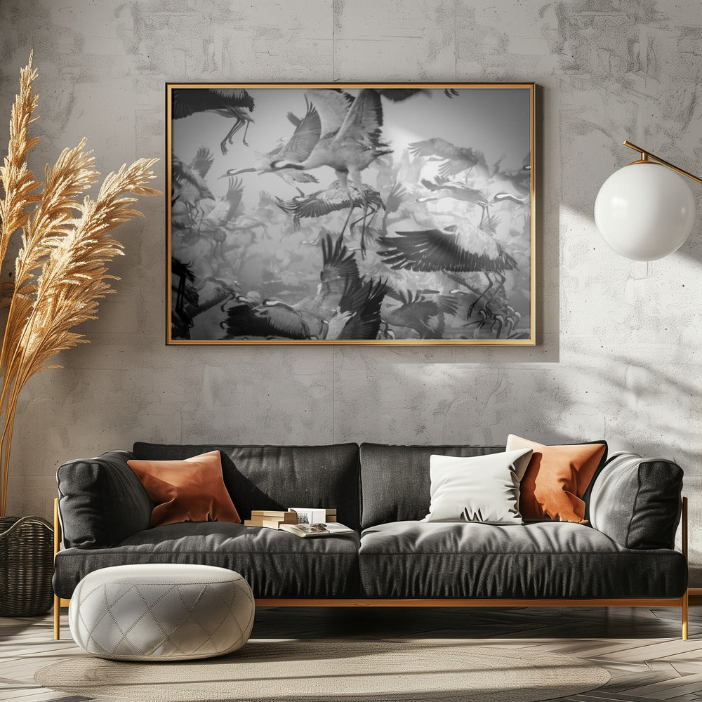 Caos | Posters  - Impresiones de Arte