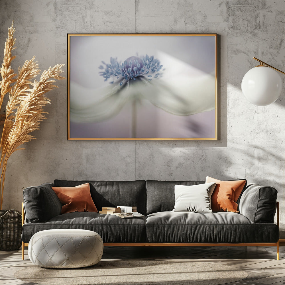 anemone Plakater - Kunsttryk
