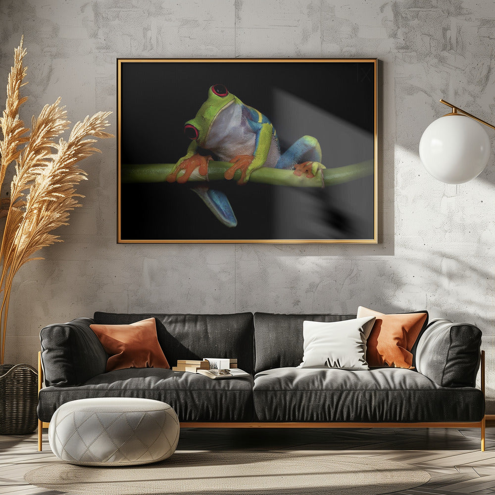 Curiosidad | Posters  - Impresiones de Arte