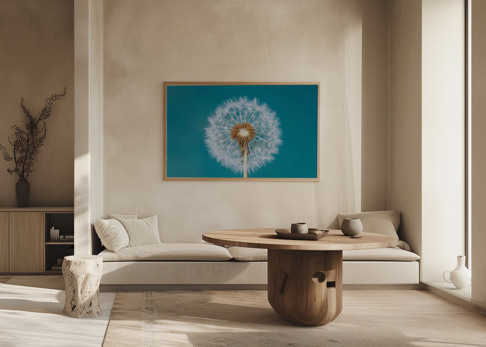 Pissenlit | Posters - Affiche Artistique