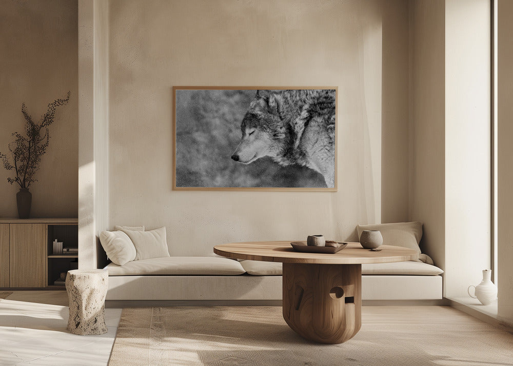 Lascia che nevichi | Poster - Stampe d’Arte