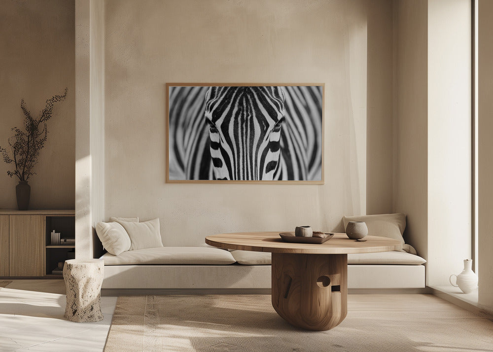 Zebra | Plakater - Kunsttryk
