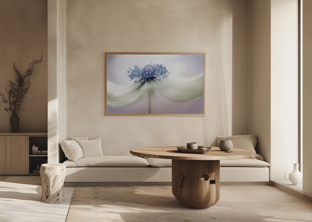 anemone Plakater - Kunsttryk