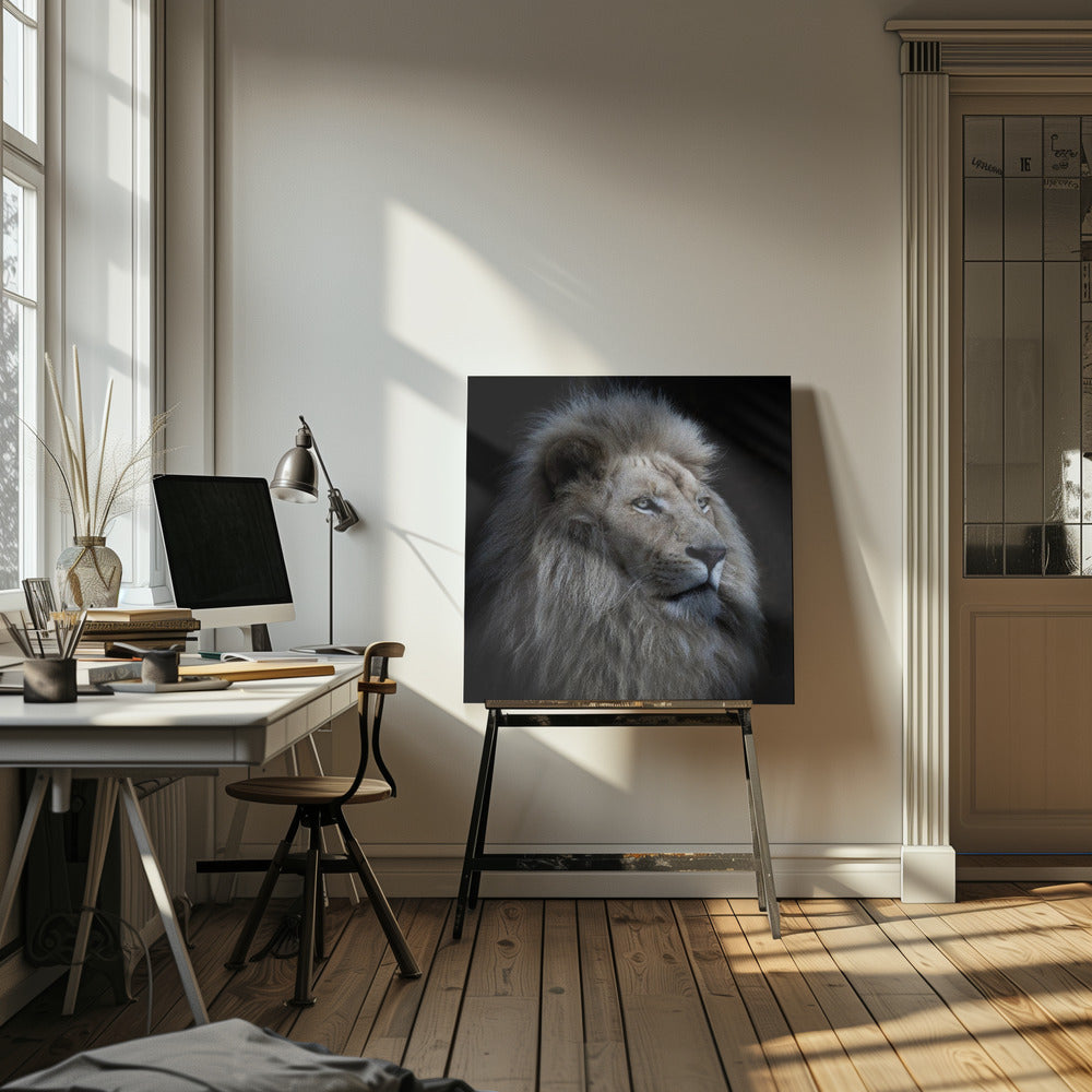 Stolzer Löwe | Leinwand-Bilder