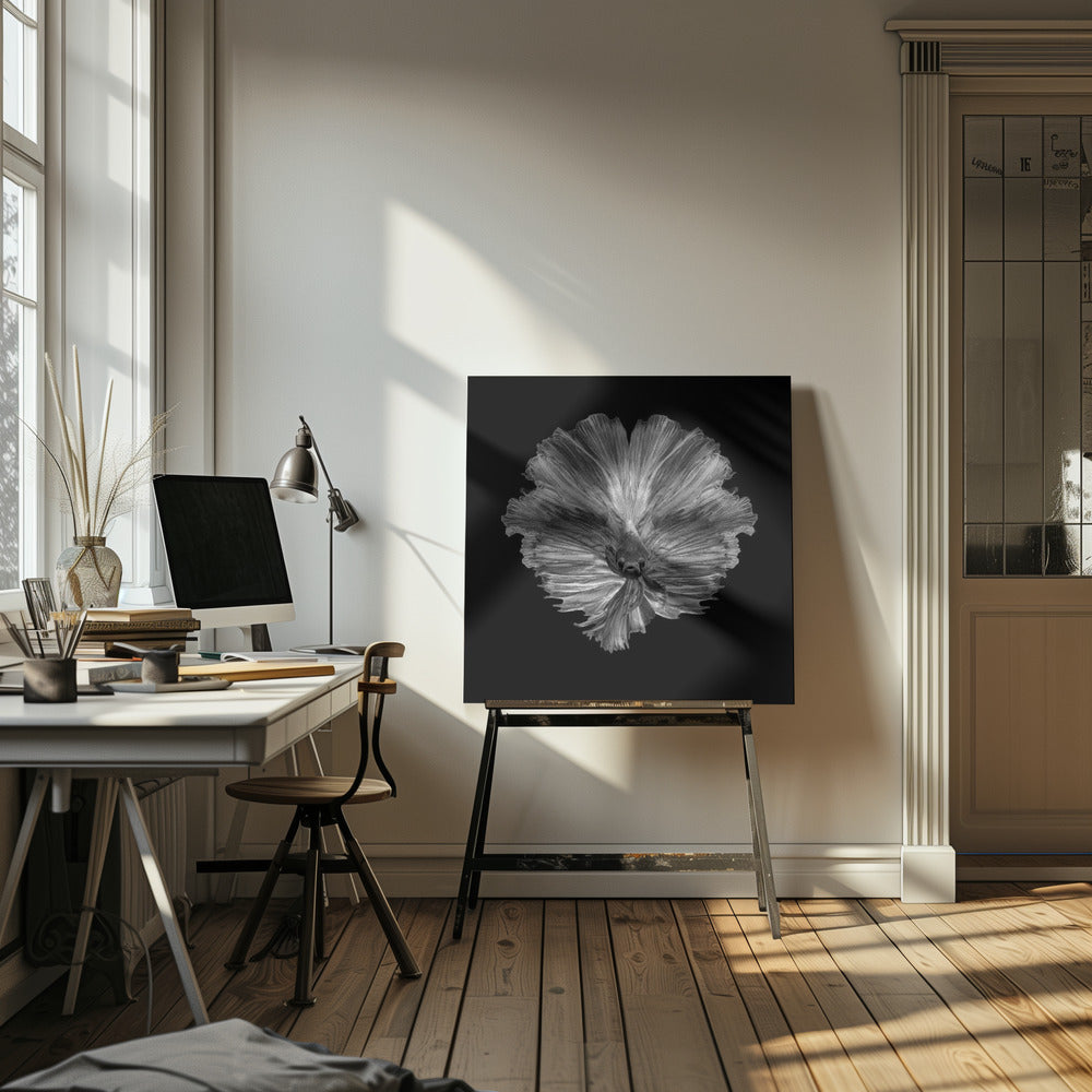 The Flower of tail | Canvas