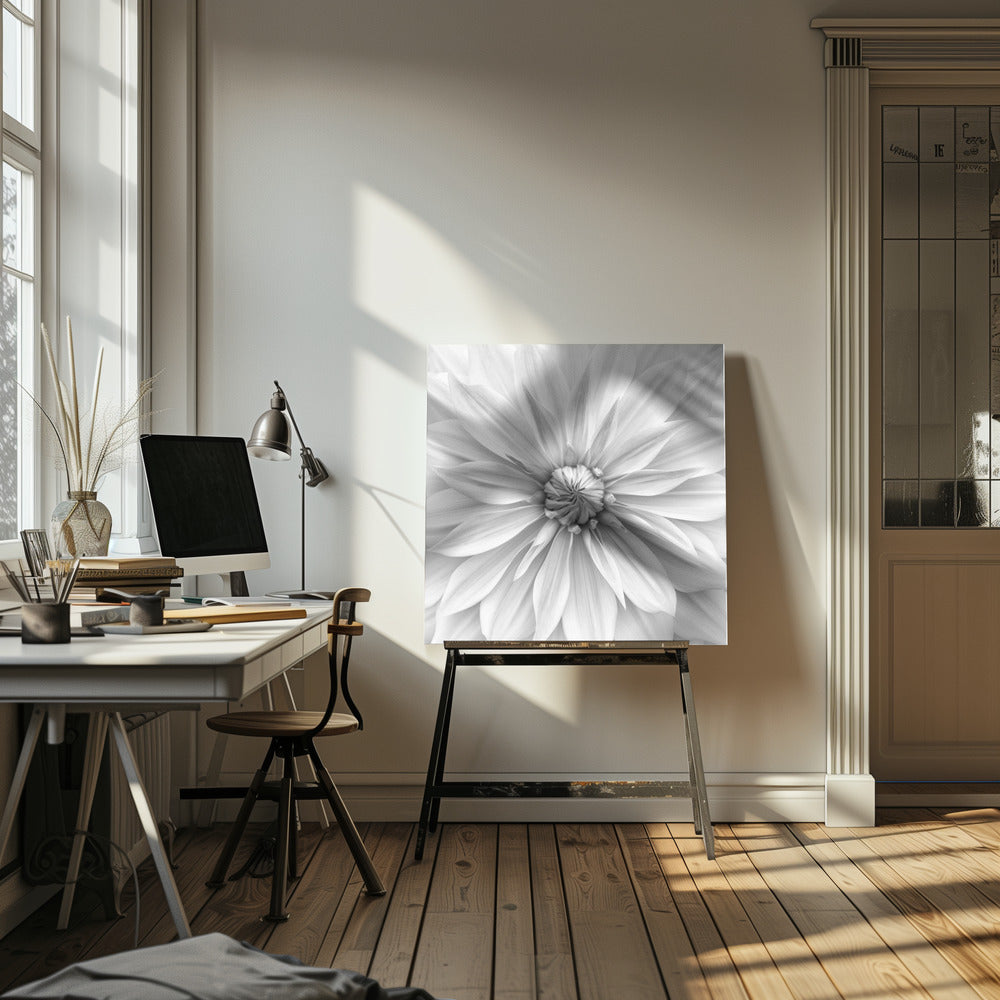 Hamari Gold in Monochrom | Leinwand-Bilder