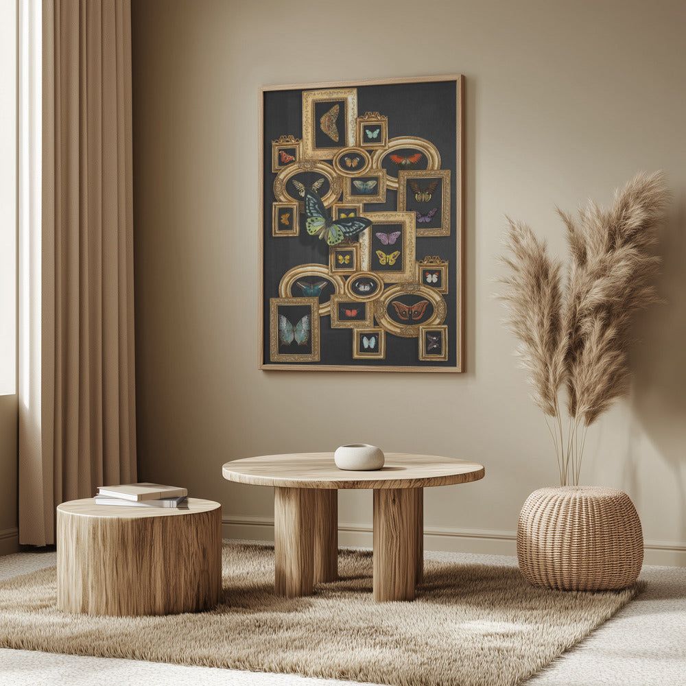 A Collection Of Butterflies | Poster