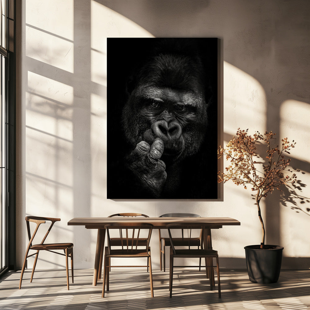 Attitude | Canvas