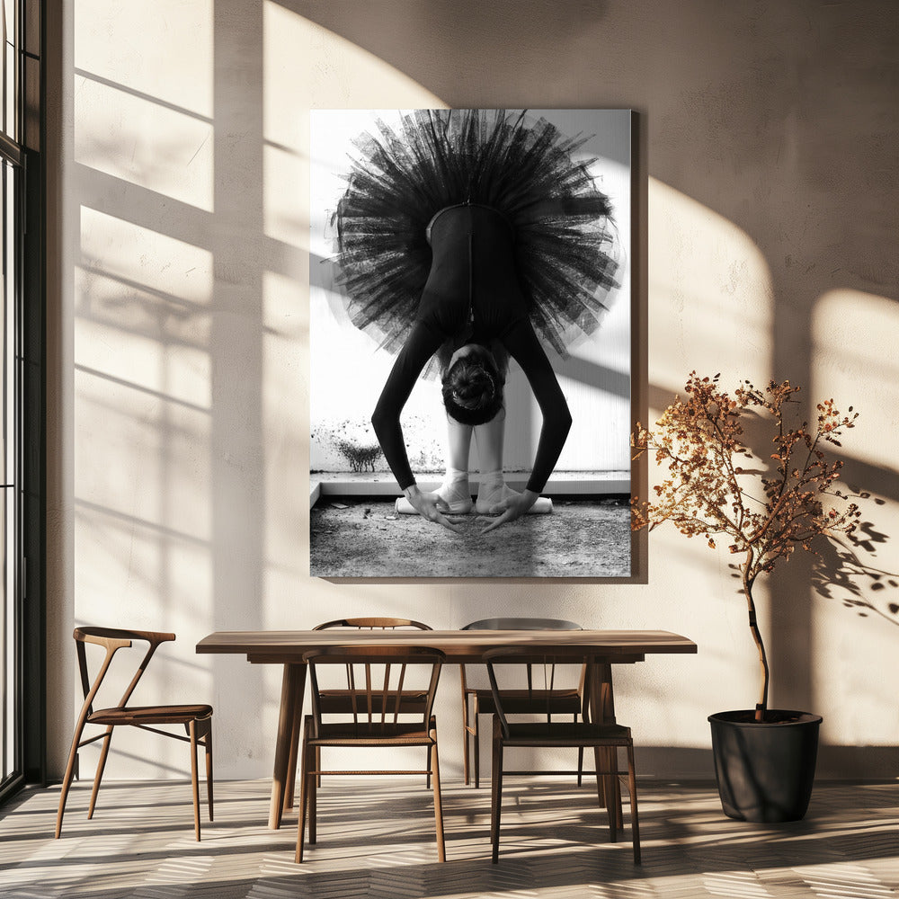 Ballerina | Lærredsbilleder