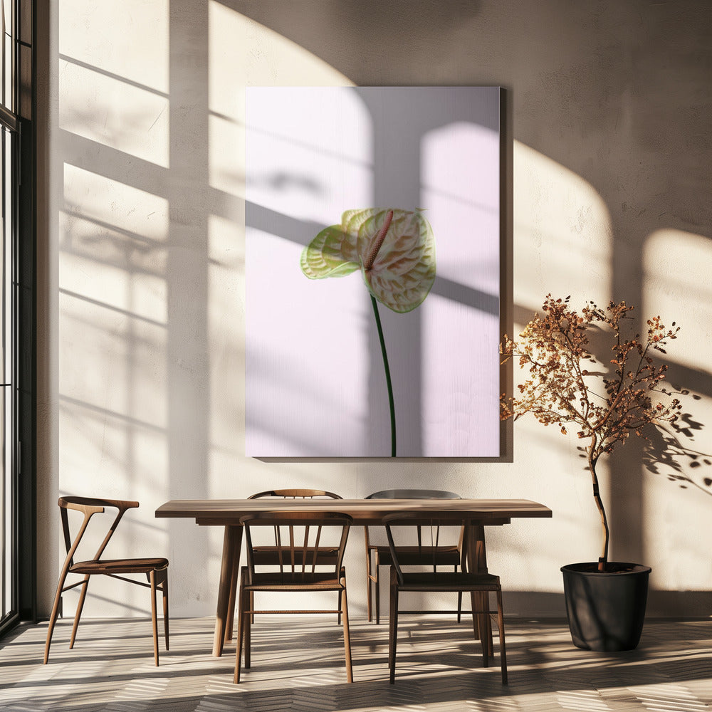 FLAMMINGO FLOWER | Canvas