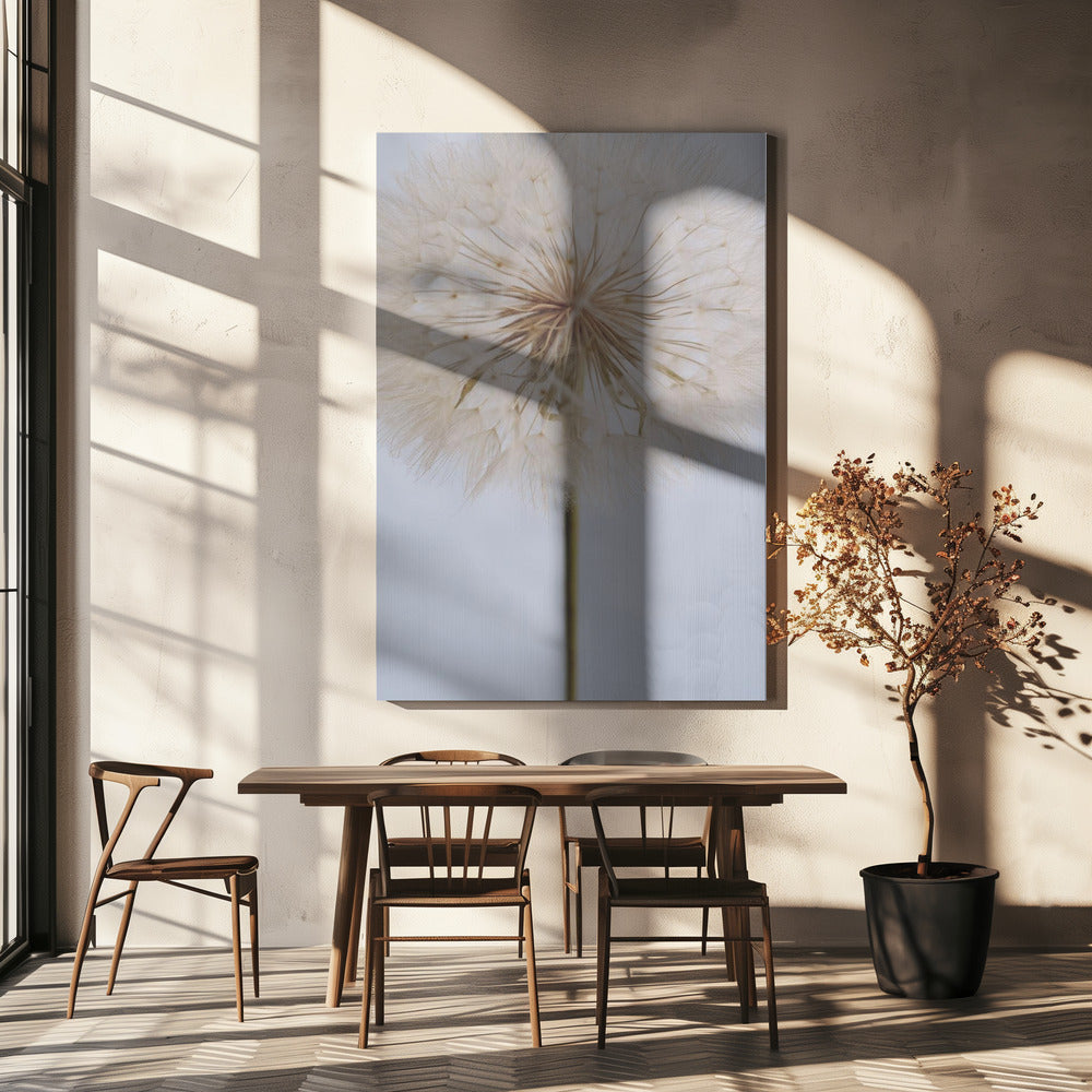 Delicate Dandelion | Canvas