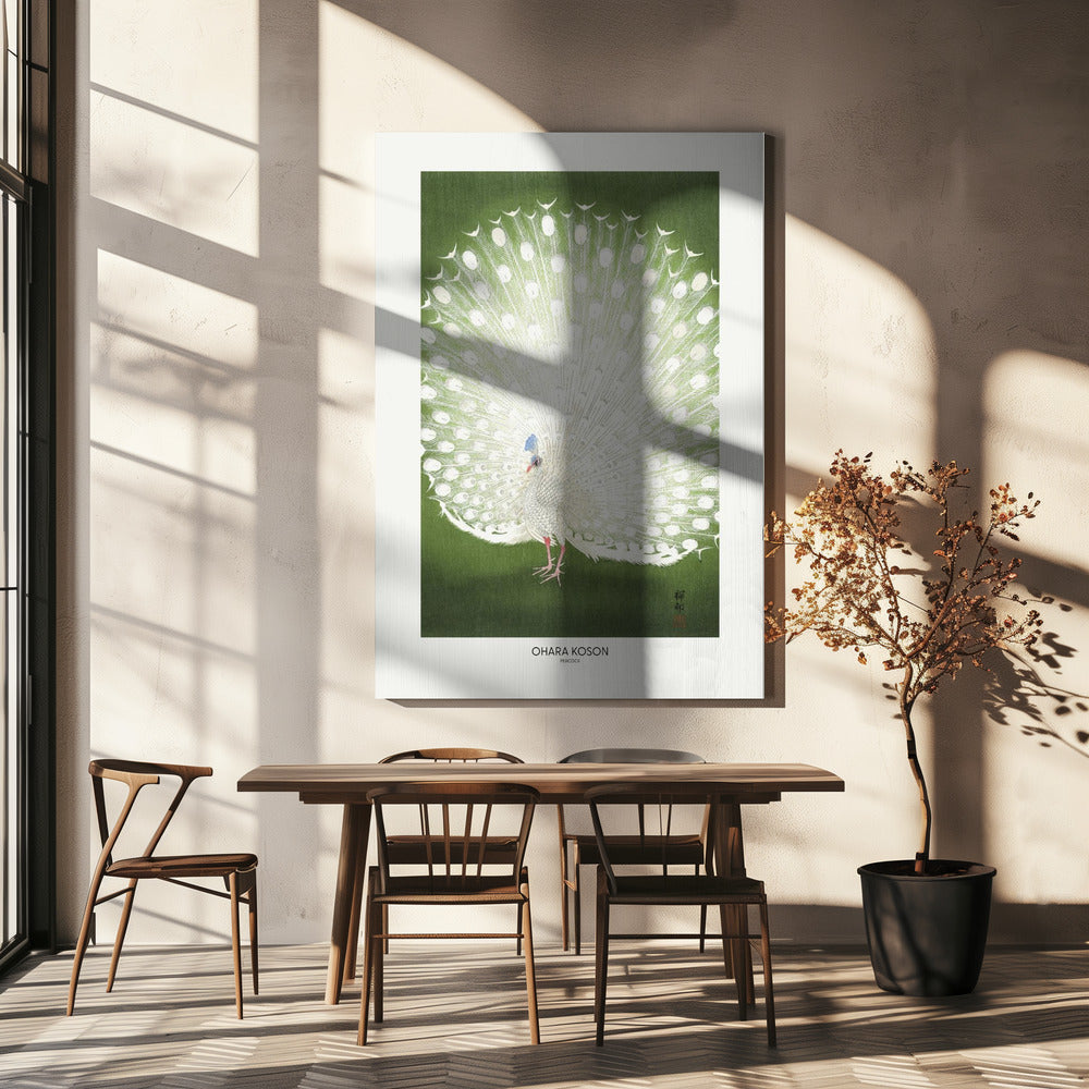 Peacock - Cropped | Canvas