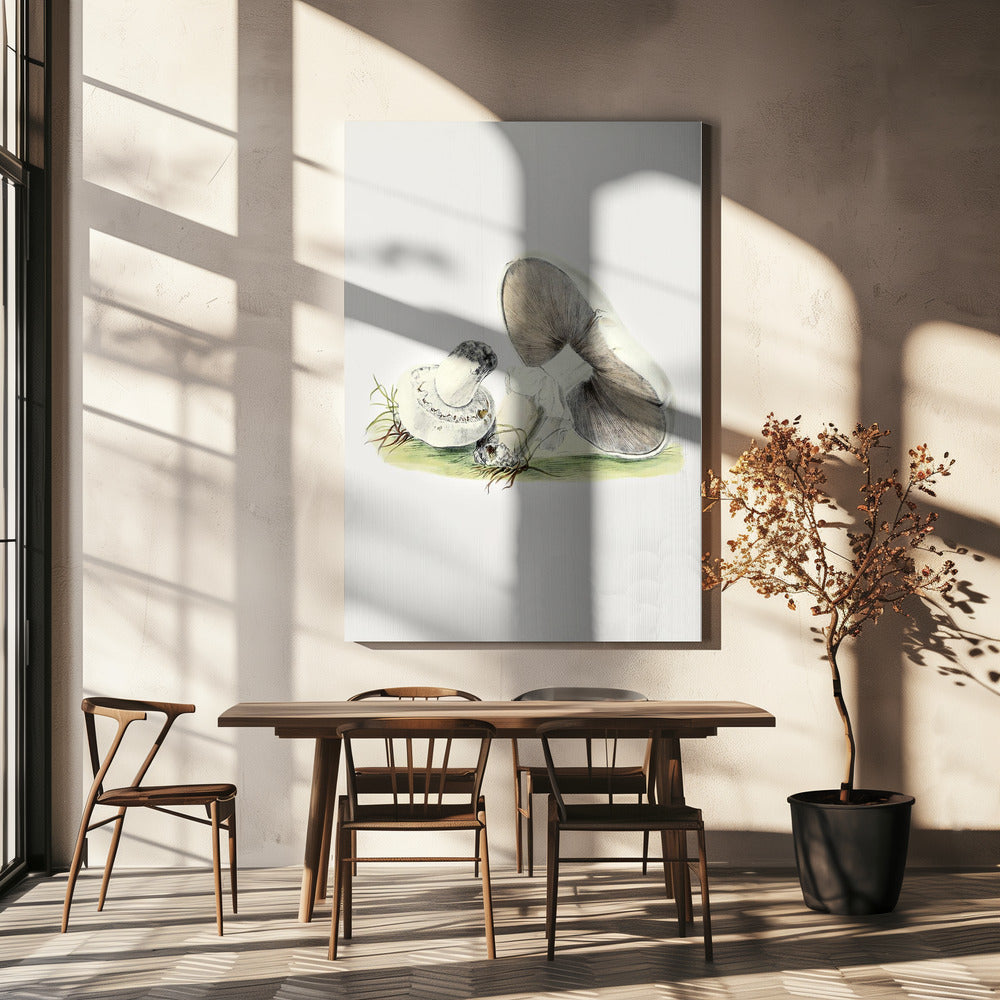 Handritad hästsvamp stående | Canvas