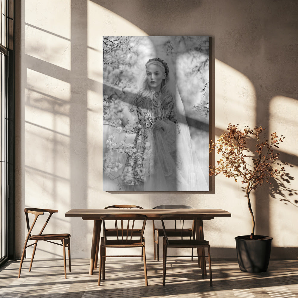 Stassy | Leinwand-Bilder