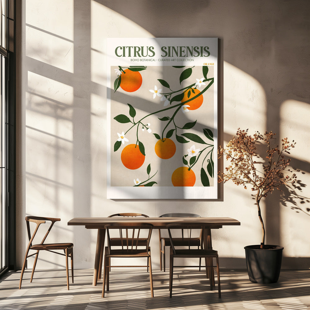Citrus Sinensis - Appelsiini | Canvastaulut