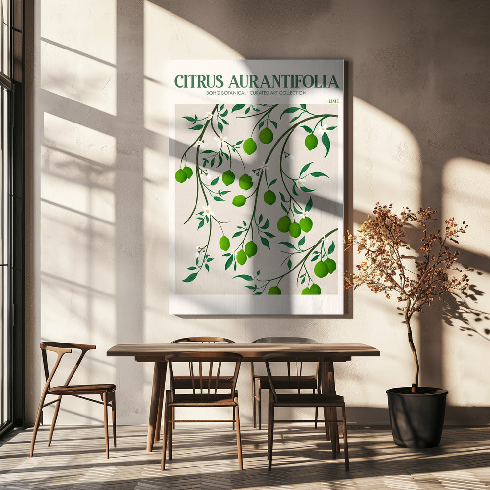 Citrus Aurantifolia - Lima | Impresiones en Lienzo