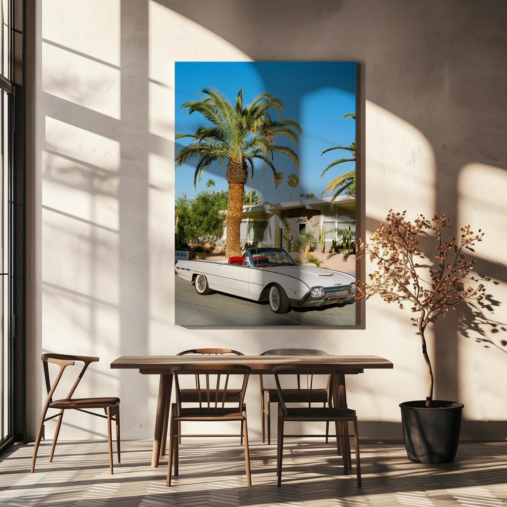 Palm Springs Thunderbird | Wydruki na łótnie