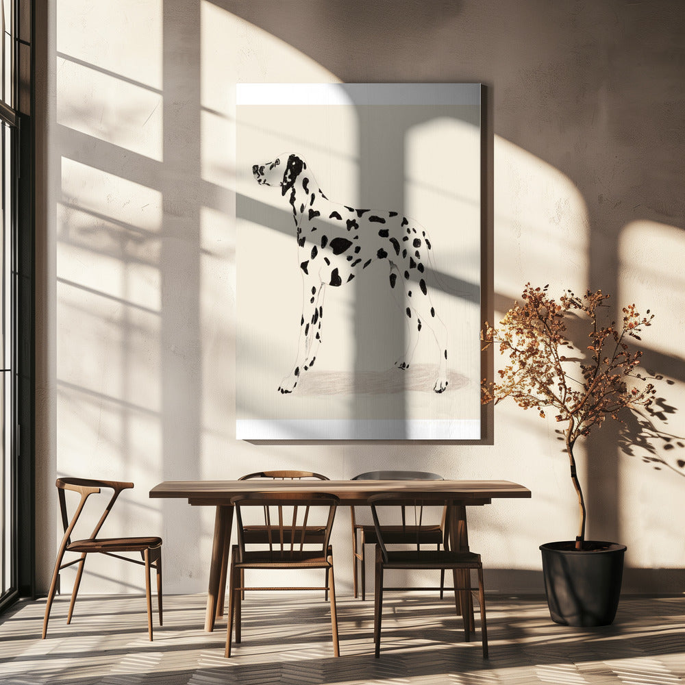 Pandc Dalmatiner | Canvas