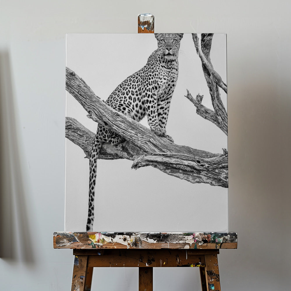 Leopardenporträt – Mono Var | Leinwand-Bilder