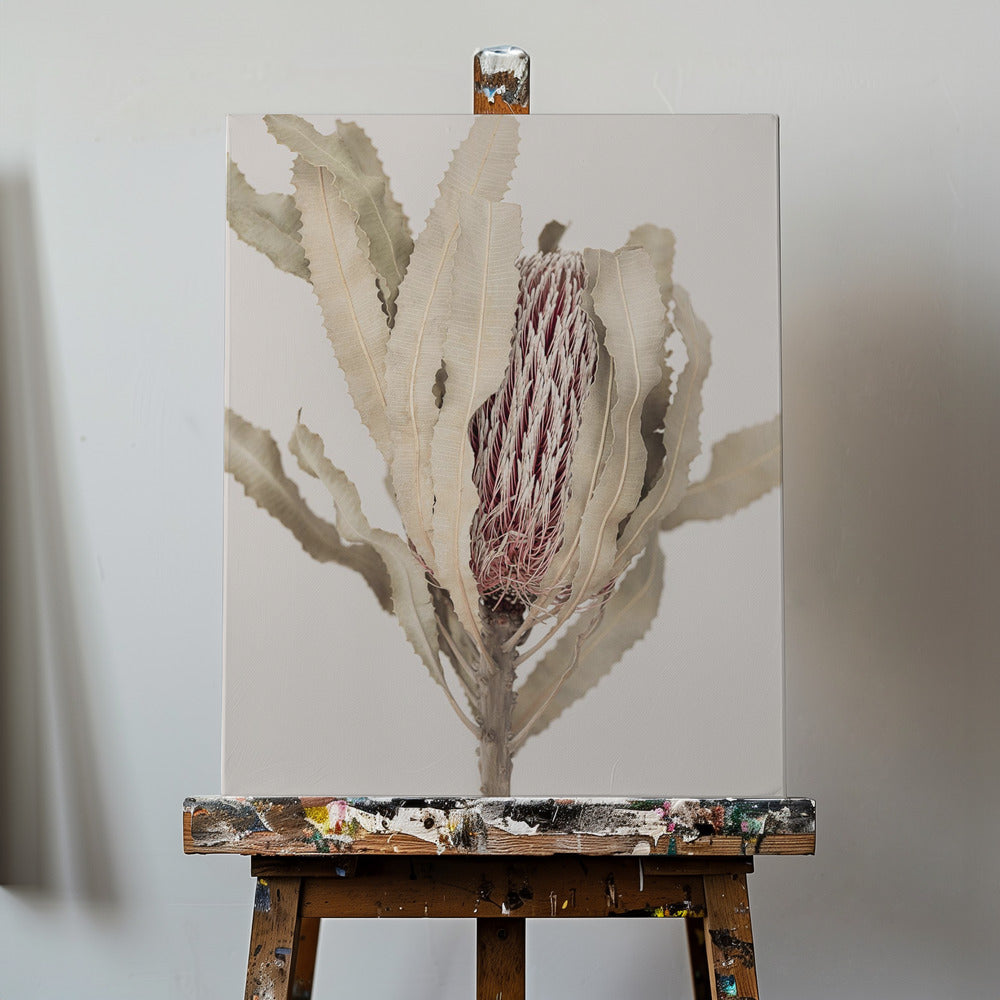Banksia | Canvas