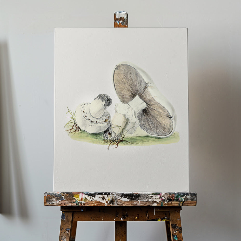 Handritad hästsvamp stående | Canvas