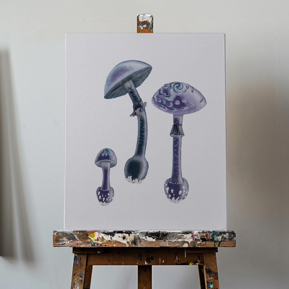 Amanita Muscaria Sfondo Bianco Viola | Stampe su Tela