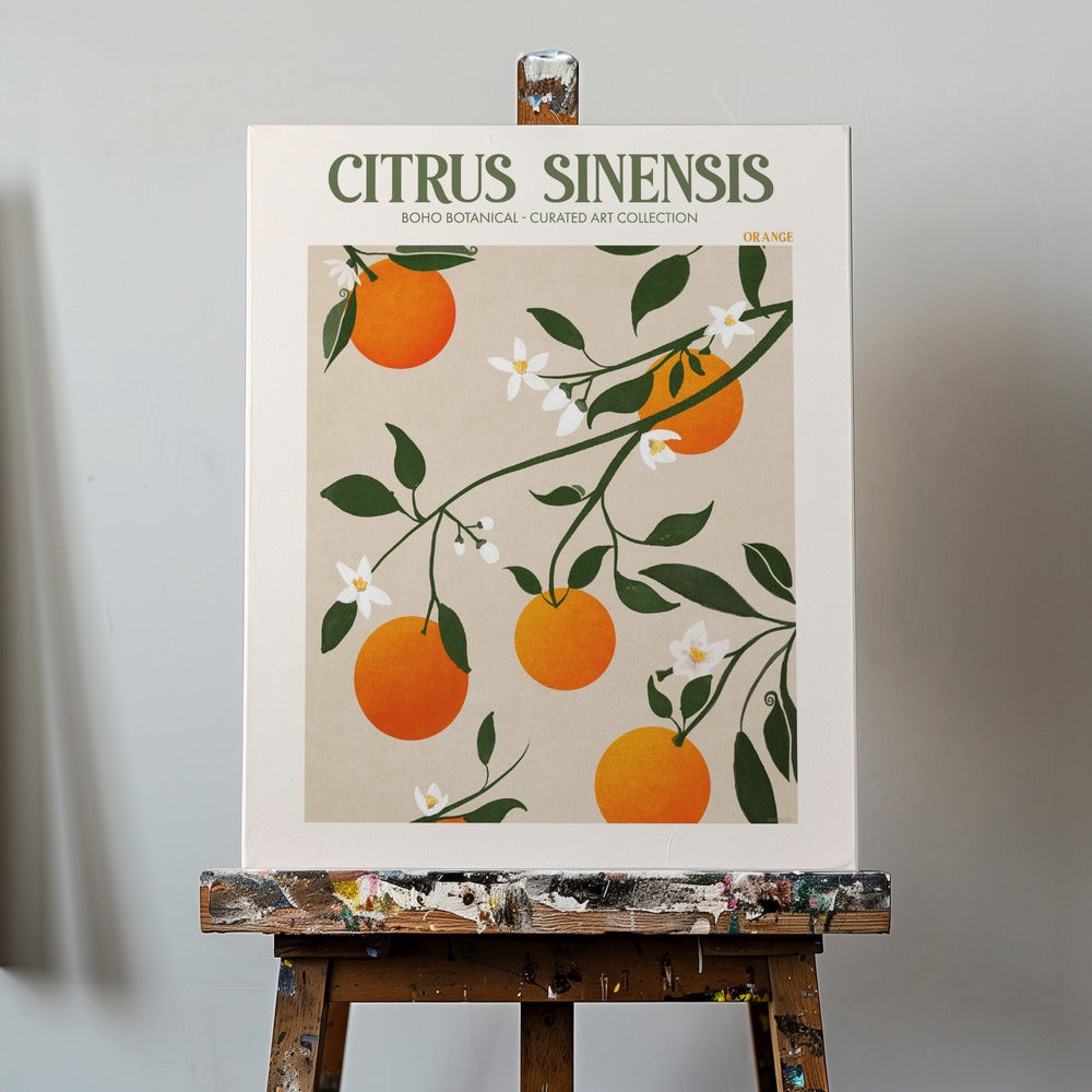 Citrus Sinensis - Appelsiini | Canvastaulut