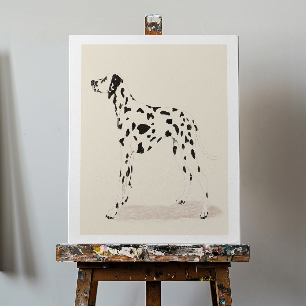 Pandc Dalmatiner | Canvas