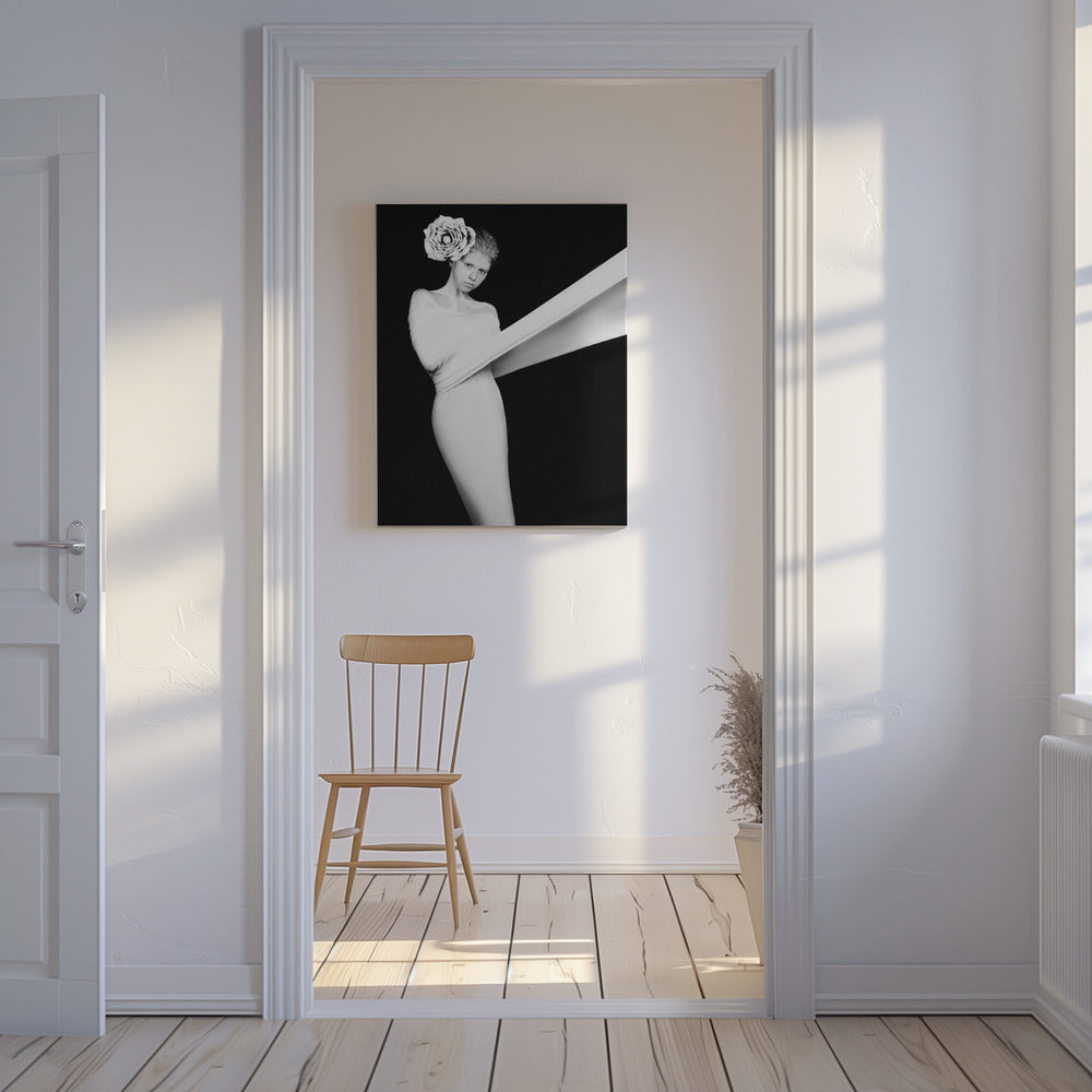 Elegantes Rätsel | Leinwand-Bilder