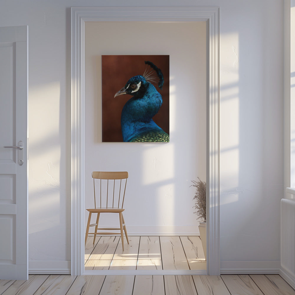 Seduction mode | Canvas