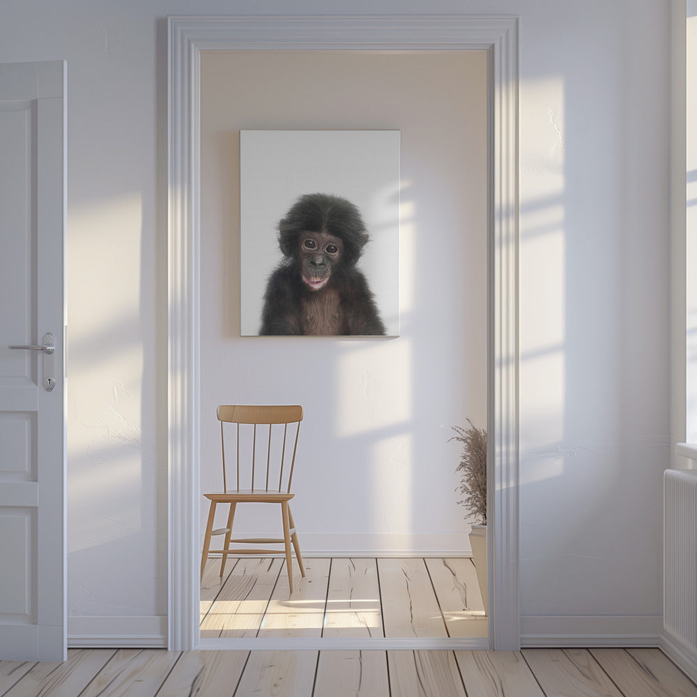 Abeunge | Lærredsbilleder
