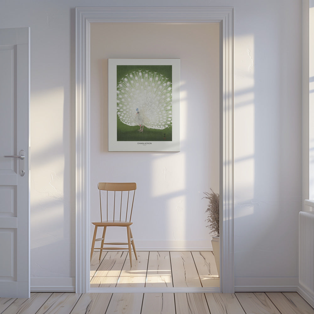 Peacock - Cropped | Canvas