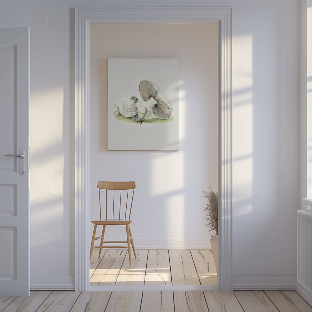 Handritad hästsvamp stående | Canvas