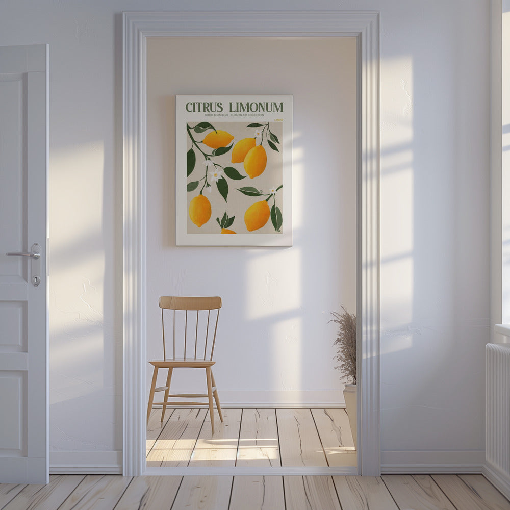 Citrus Limonum – Zitrone | Leinwand-Bilder