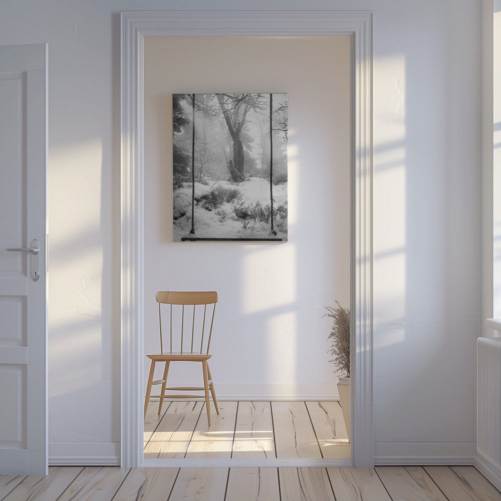 Desember vil | Lerretsbilder