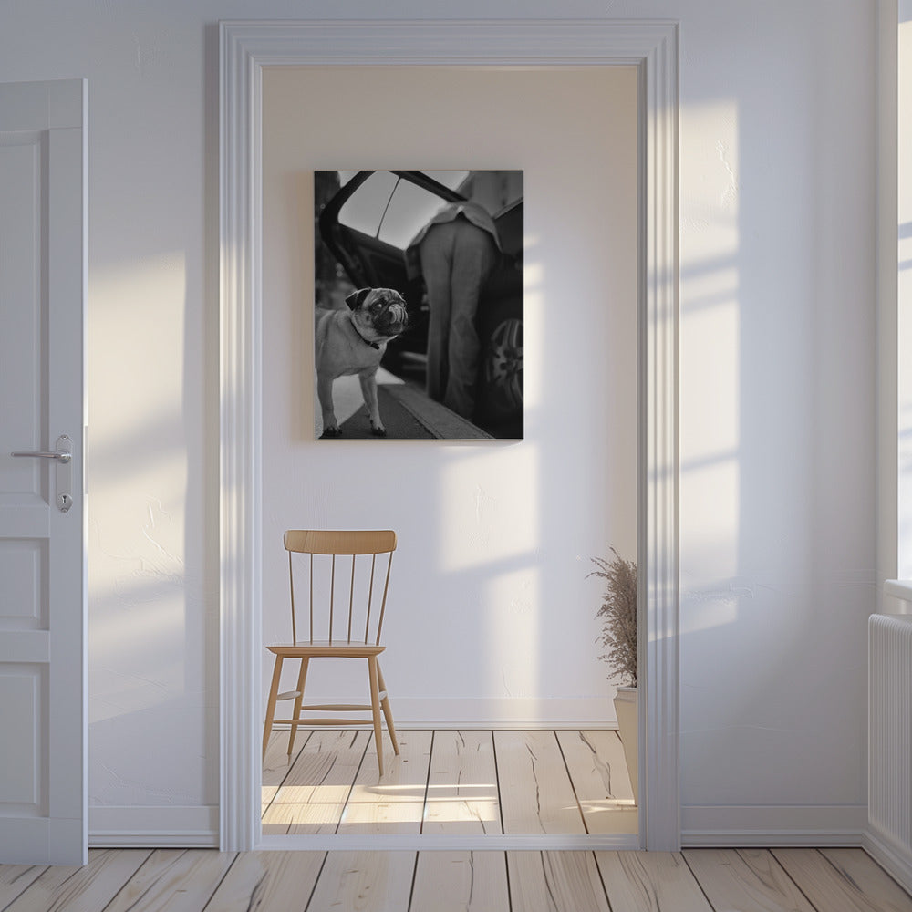 Uden titel | Lærredsbilleder