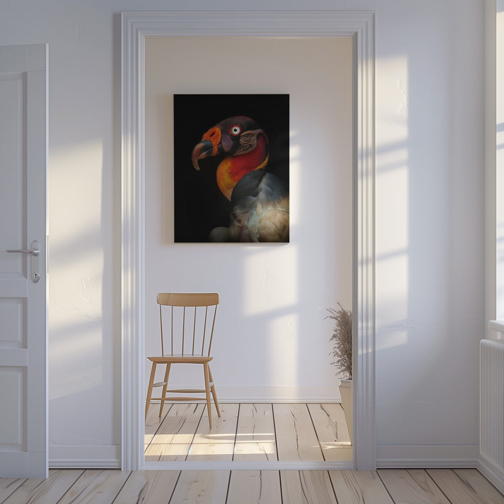 King vulture-Sarcoramphus papa | Canvas