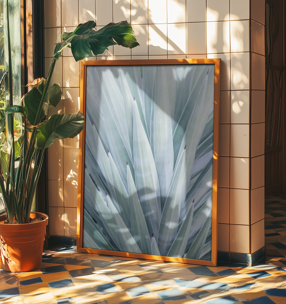 Azurblauer Agaventanz | Poster