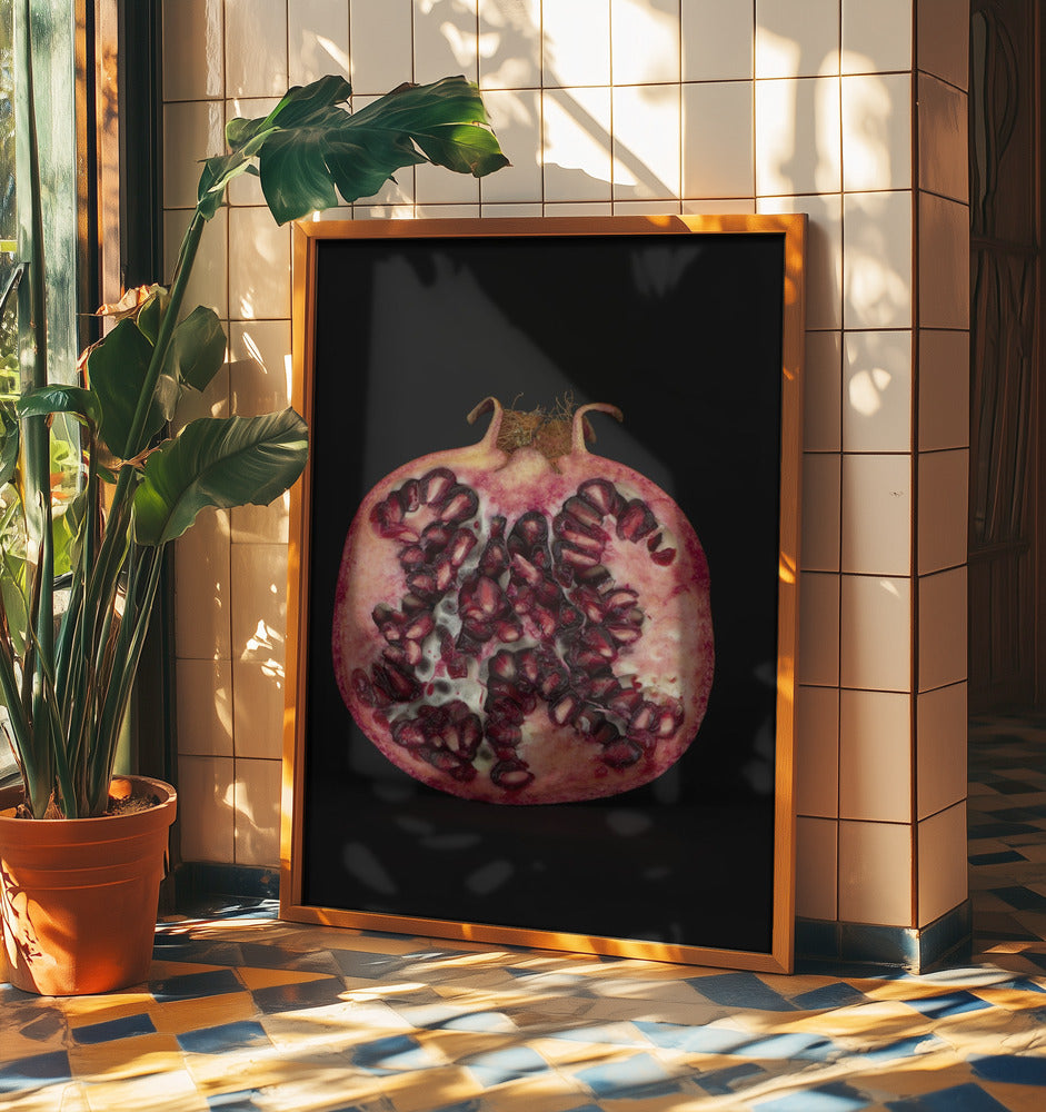 Seeded Heart | Poster