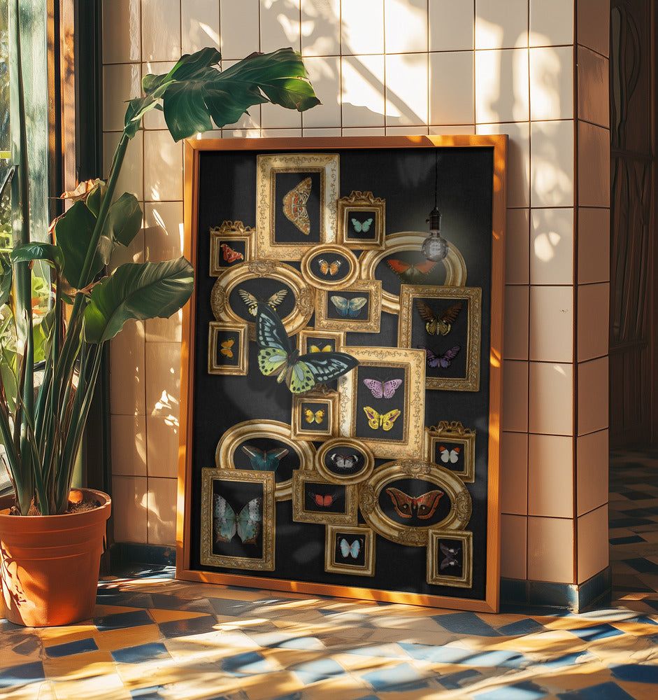 A Collection Of Butterflies | Poster