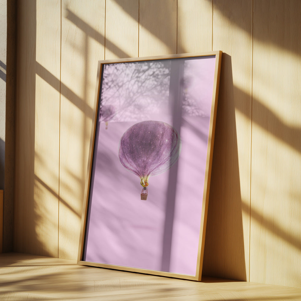 Figner Balloner | Plakater - Kunsttryk