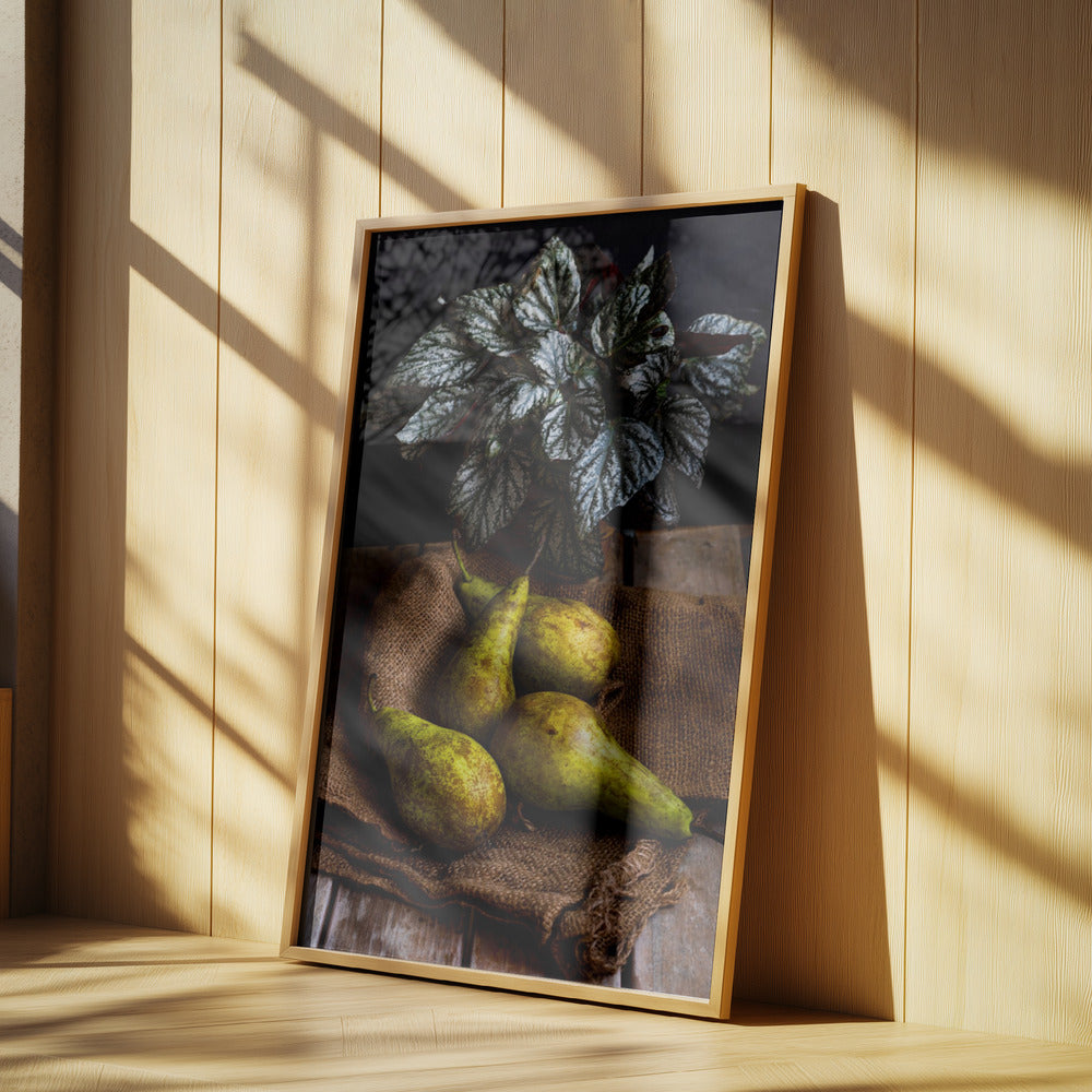 Birnen | Poster - Kunstdruck