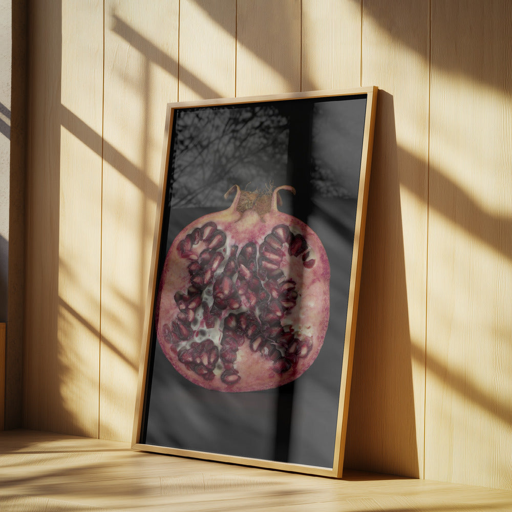 Seeded Heart | Poster