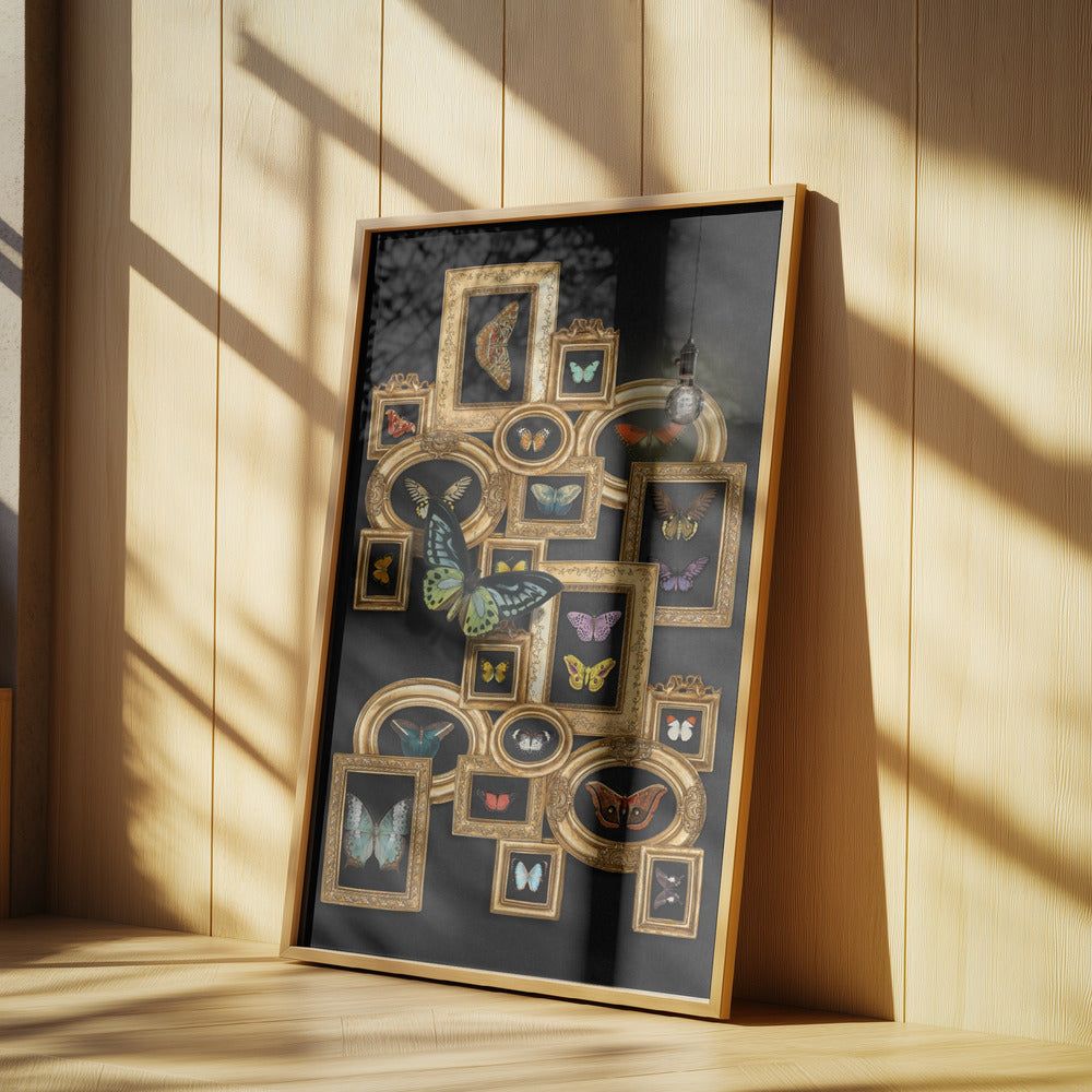 A Collection Of Butterflies | Poster