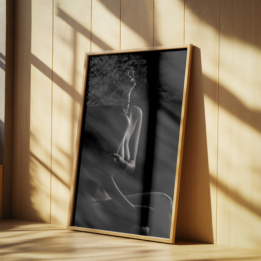 Sensual Beauty | Poster