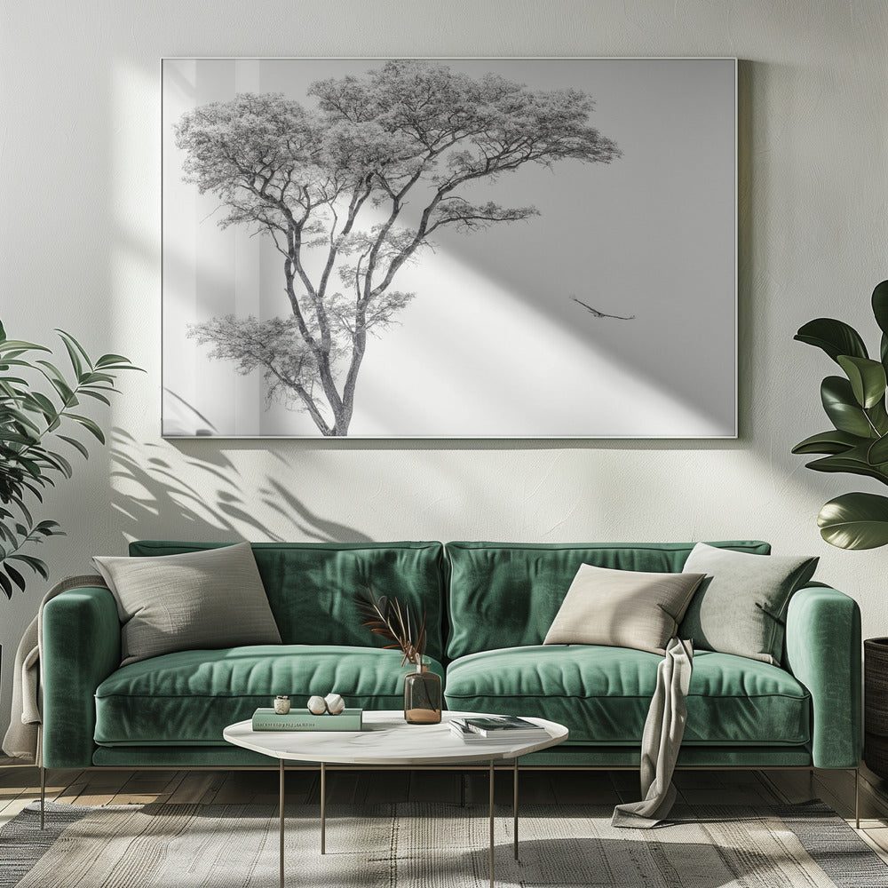 der afrikanische Adler | Leinwand-Bilder