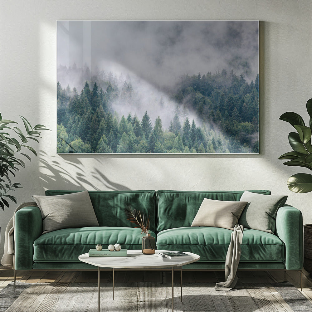 Petrichor | Leinwand-Bilder